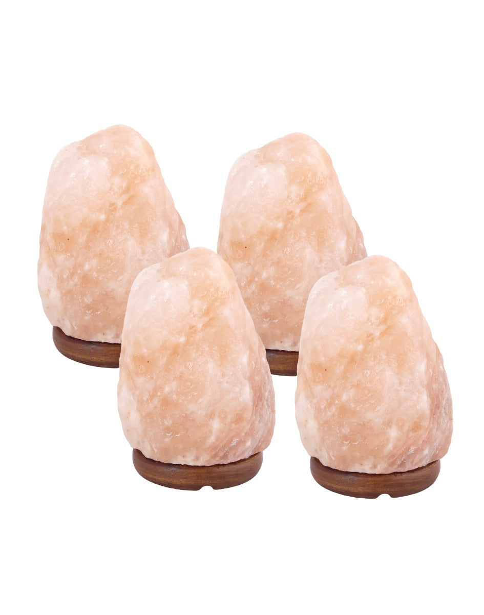 15% Korting! - 4 x Zoutlamp 2 tot 4kg - Himalayazout / Zoutsteen (Haliet) - ca. 22x12cm per stuk