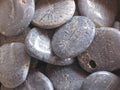 Platte steen Blauwe Koraal ca 4cm