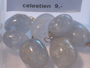 Hanger Celestien Groot