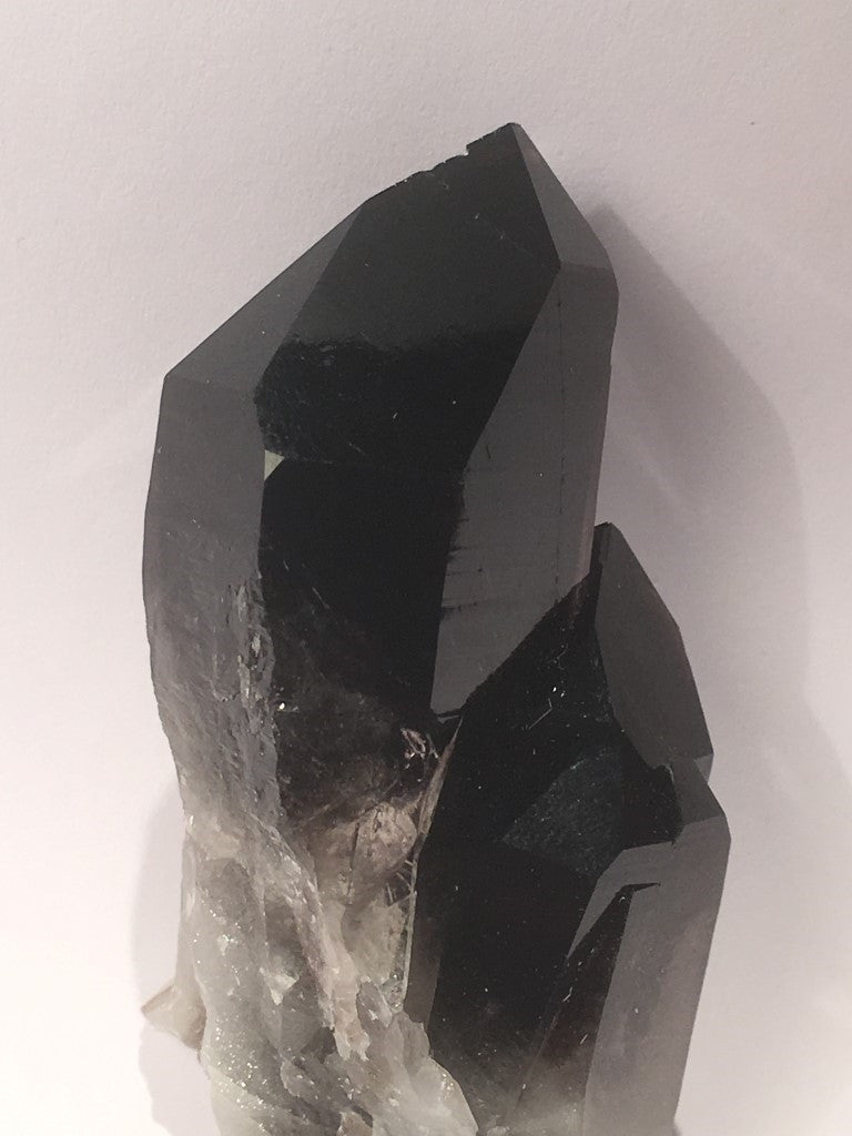 Rookkwarts Topkwaliteit - 90gr 7x3,5cm