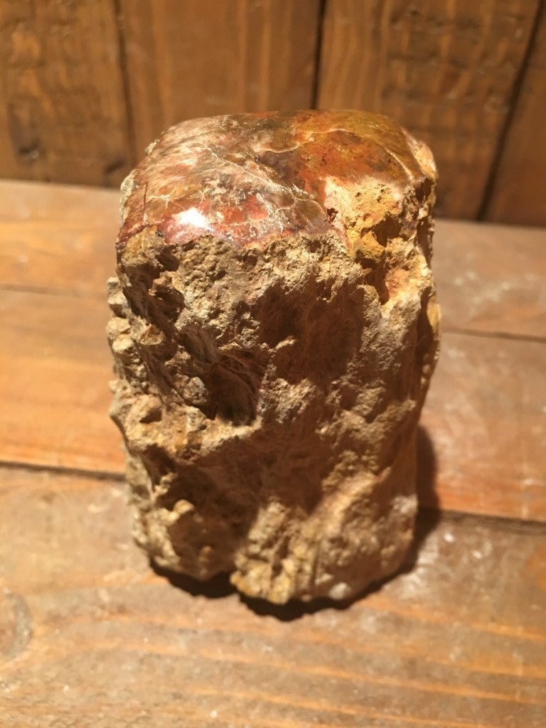 Versteend / Gekristalliseerd Hout - 500 gram - 10,5x6x5cm