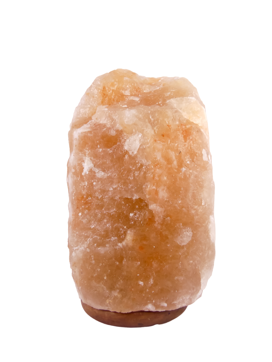 Zoutlamp 19,1kg - 100% Natuurlijk Himalaya Zout - Extra Lange Kabel 1,8mtr met Lampje - ca. 38x22cm - Individueel Gefotografeerd