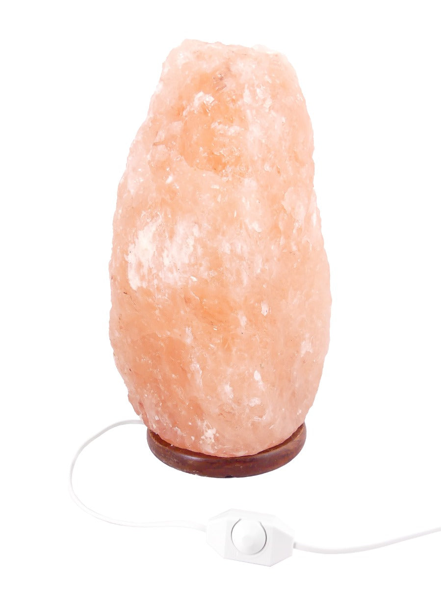 Zoutlamp met DIMMER GROOT 20 tot 25 kg - Haliet Zoutsteen uit Himalaya - Extra Lange Kabel 1.8mtr - ca. 45x30cm