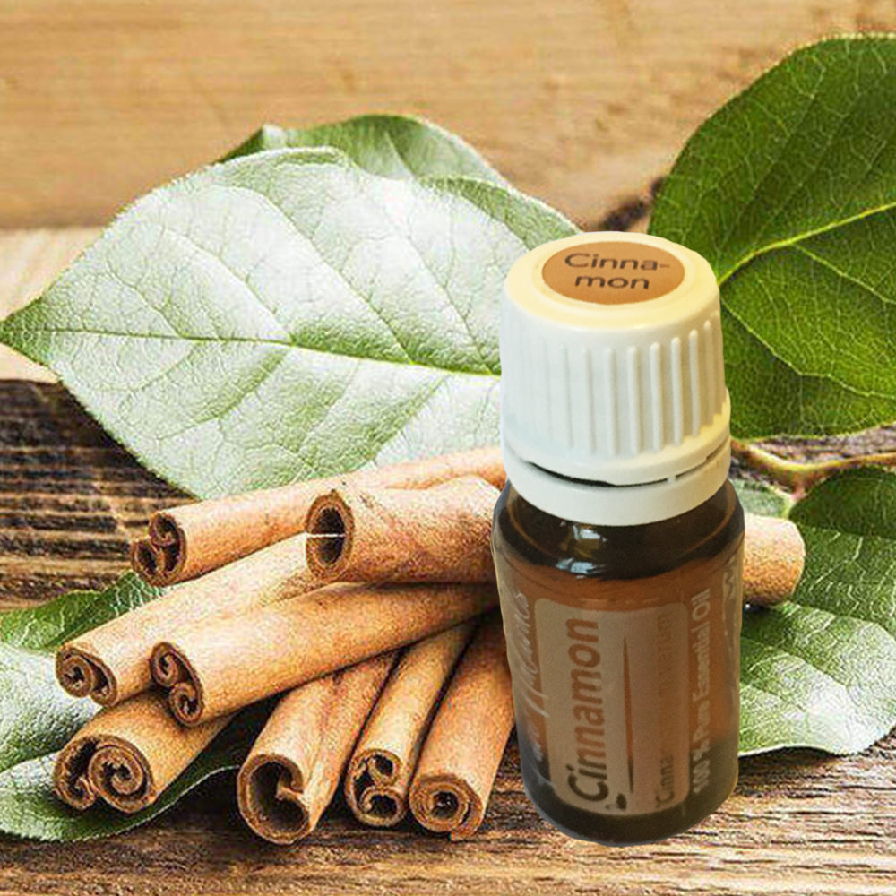 Essentiële Olie Aromatherapie - Biologisch - Cinnamon (Kaneel) - Flesje 10ml - Pure Naturals