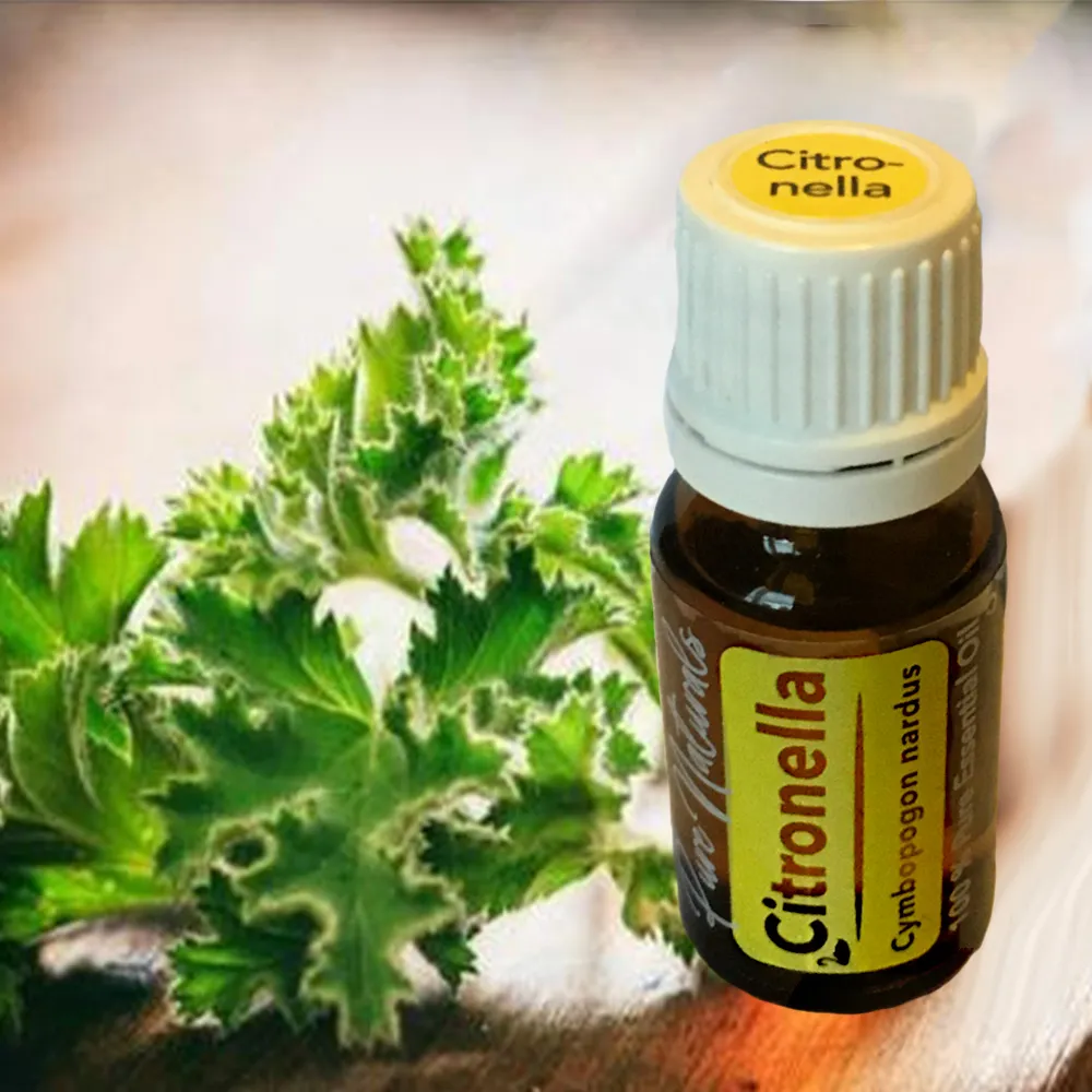 Pure Naturals Essentiële olie - Biologisch - Citronella - Flesje 10ml