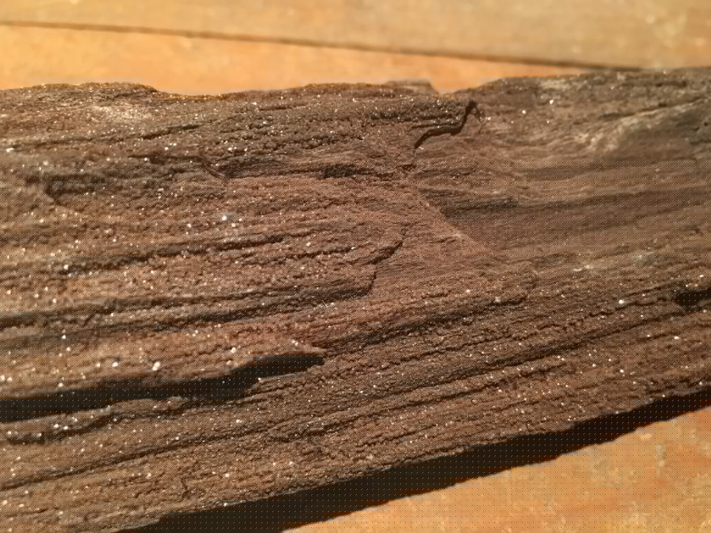 Versteend / Gekristalliseerd Hout - 265 gram - 13x5x3cm