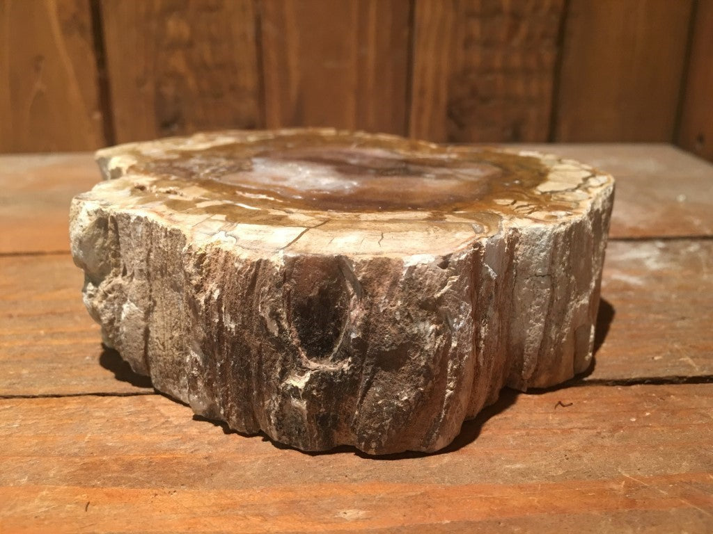 Versteend / Gekristalliseerd Hout - Schijf 600 gram - 11x10x3cm