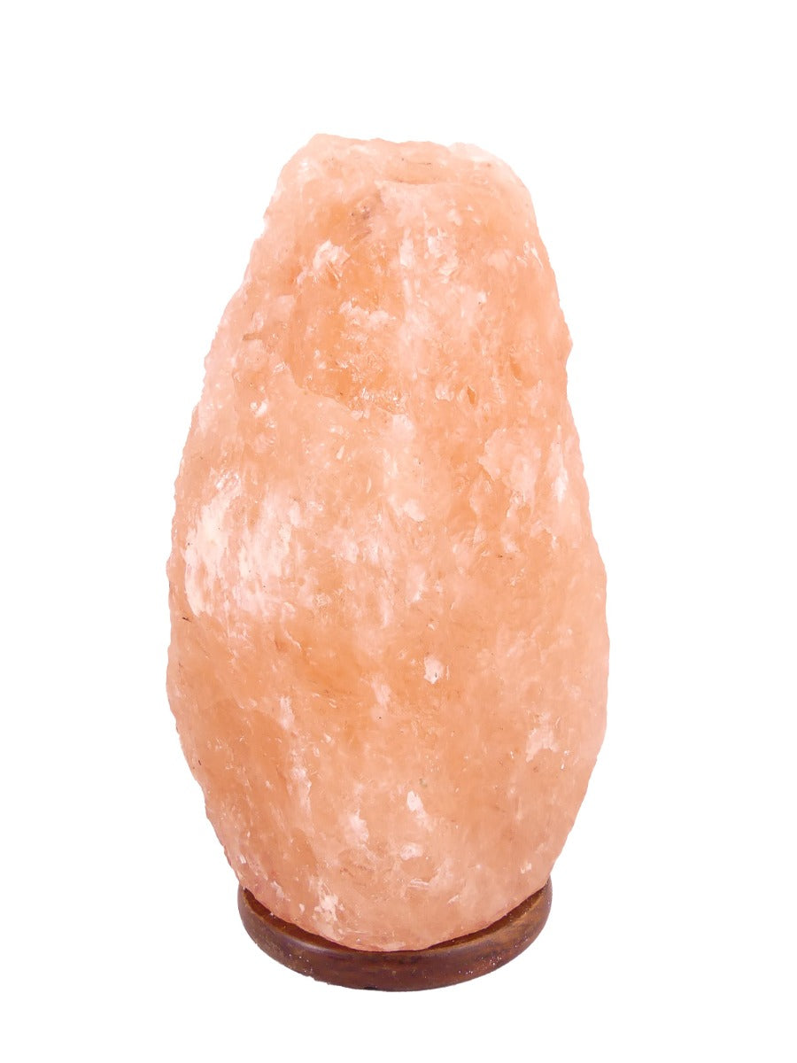 Zoutlamp met DIMMER GROOT 20 tot 25 kg - Haliet Zoutsteen uit Himalaya - Extra Lange Kabel 1.8mtr - ca. 45x30cm