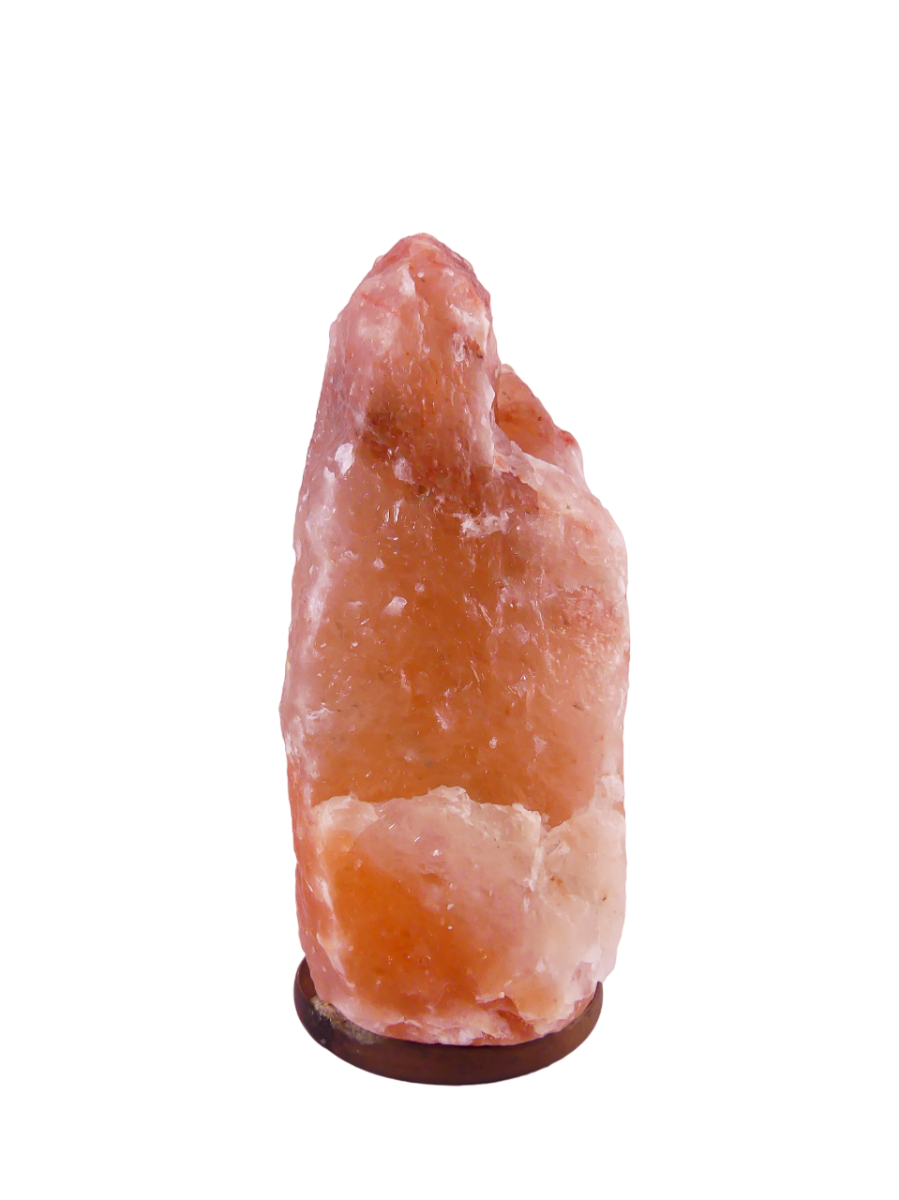 Zoutlamp 22,3kg - 100% Natuurlijk Himalaya Zout - Extra Lange Kabel 1,8mtr met Lampje - ca. 43x22cm - Individueel Gefotografeerd