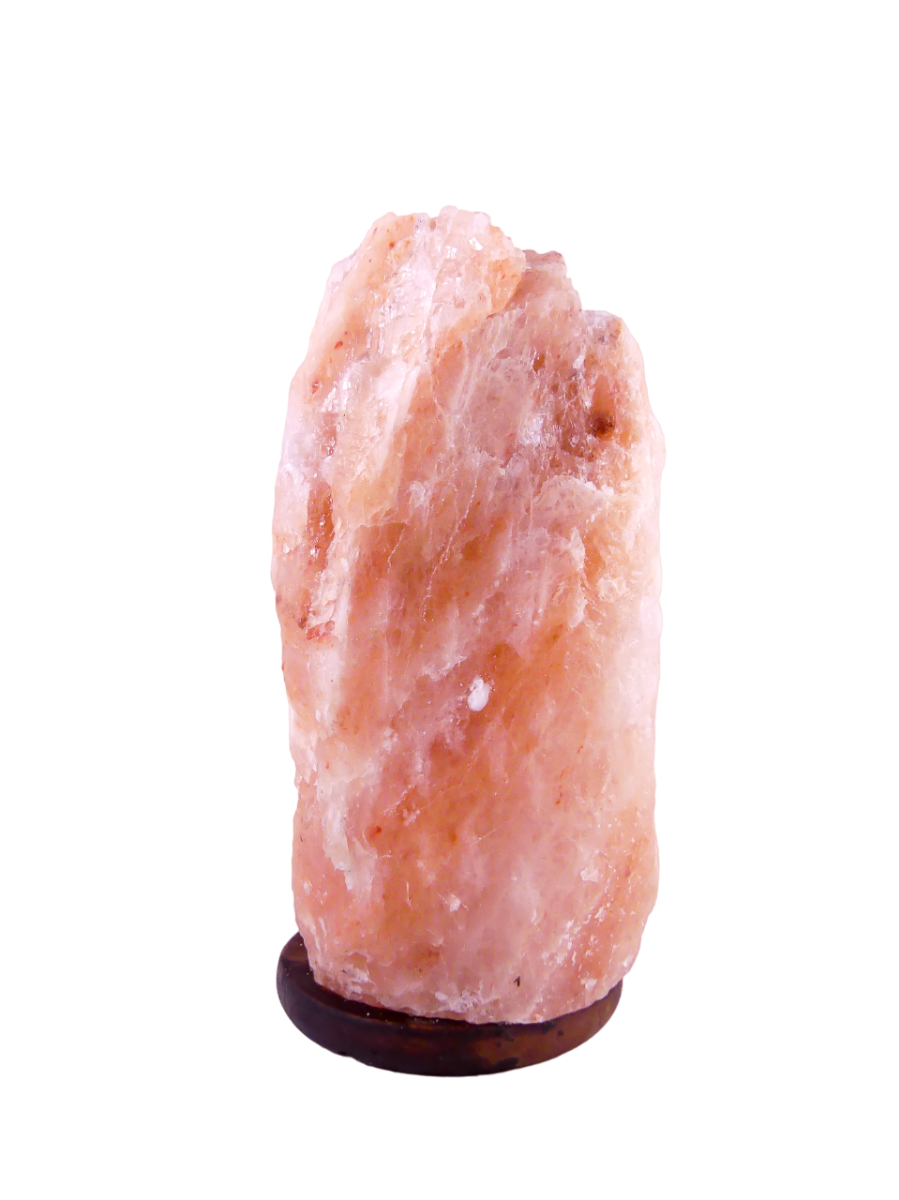 Zoutlamp 24,2kg - 100% Natuurlijk Himalaya Zout - Extra Lange Kabel 1,8mtr met Lampje - ca. 42x24cm - Individueel Gefotografeerd