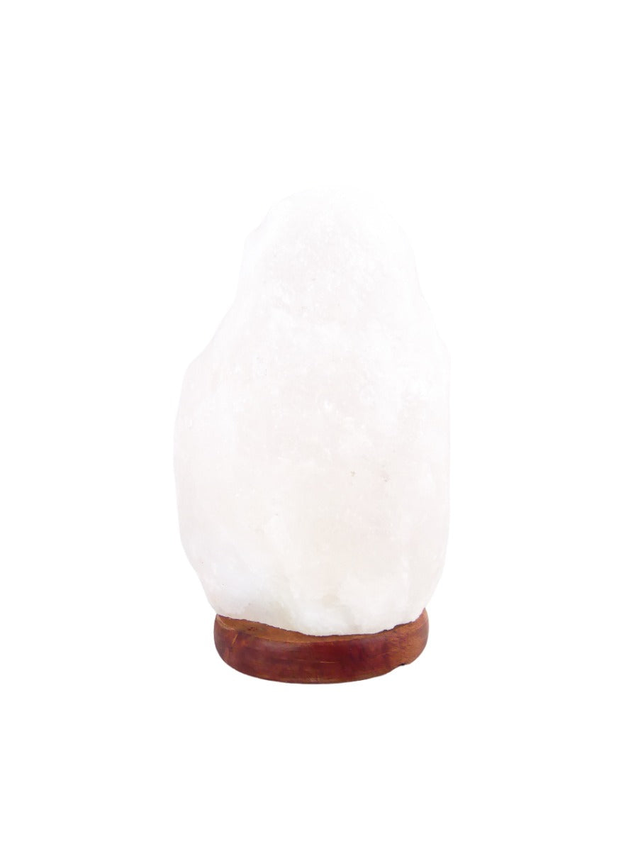 Zoutlamp Wit 4 tot 6kg - Witte Zoutsteen Lamp van Zout uit Dode Zee - ca. 22x15cm