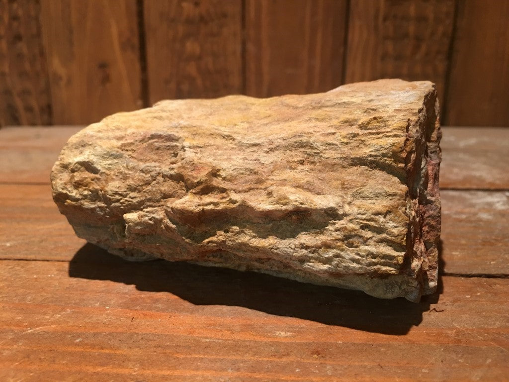 Versteend / Gekristalliseerd Hout - 500 gram - 10,5x6x5cm