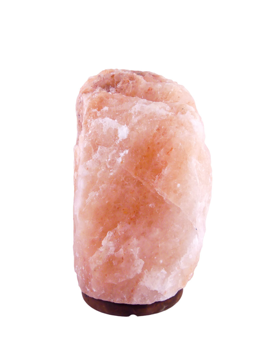 Zoutlamp 24,2kg - 100% Natuurlijk Himalaya Zout - Extra Lange Kabel 1,8mtr met Lampje - ca. 42x24cm - Individueel Gefotografeerd