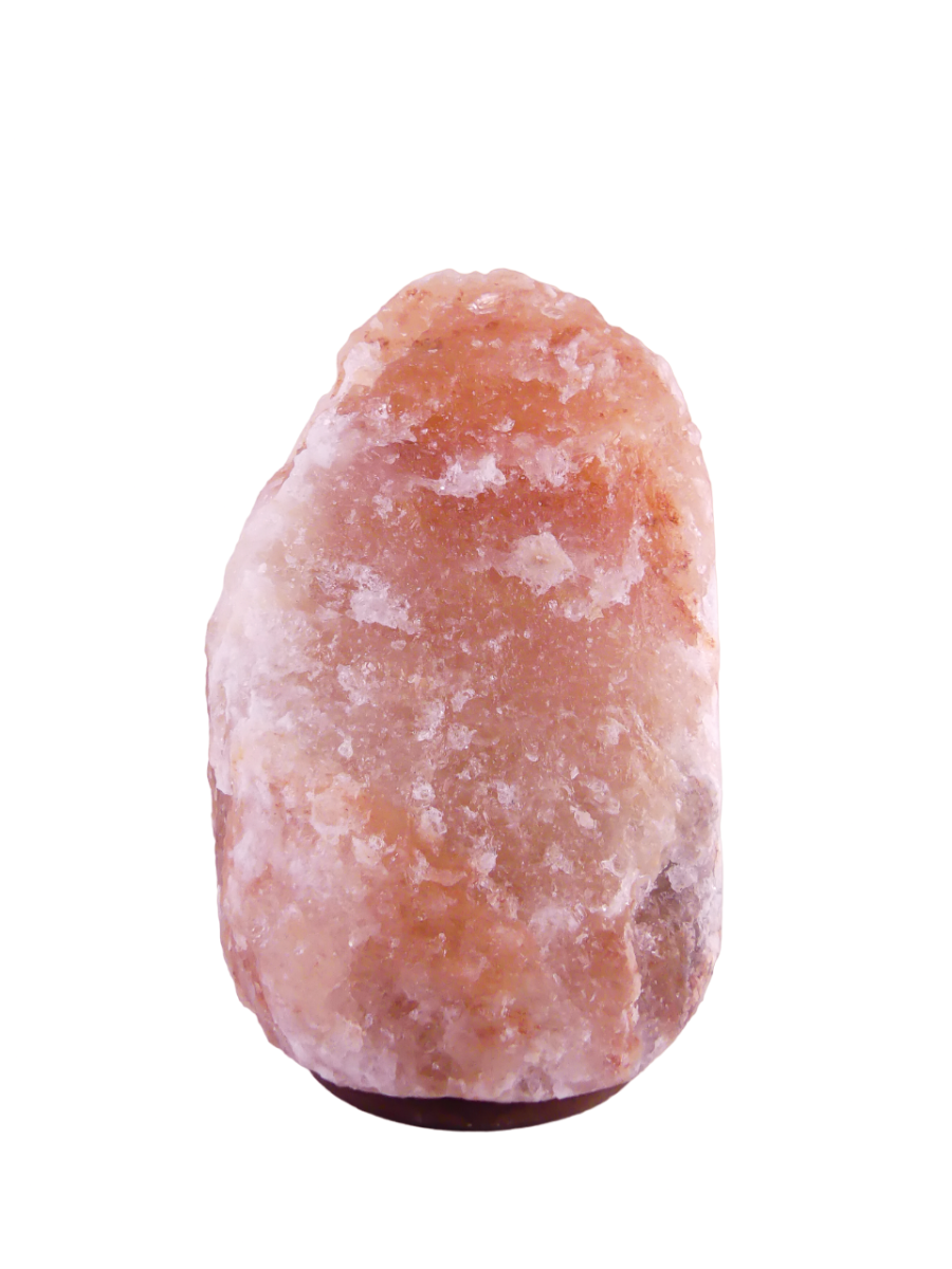 Zoutlamp 25,4kg - 100% Natuurlijk Himalaya Zout - Extra Lange Kabel 1,8mtr met Lampje - ca. 43x25cm - Individueel Gefotografeerd