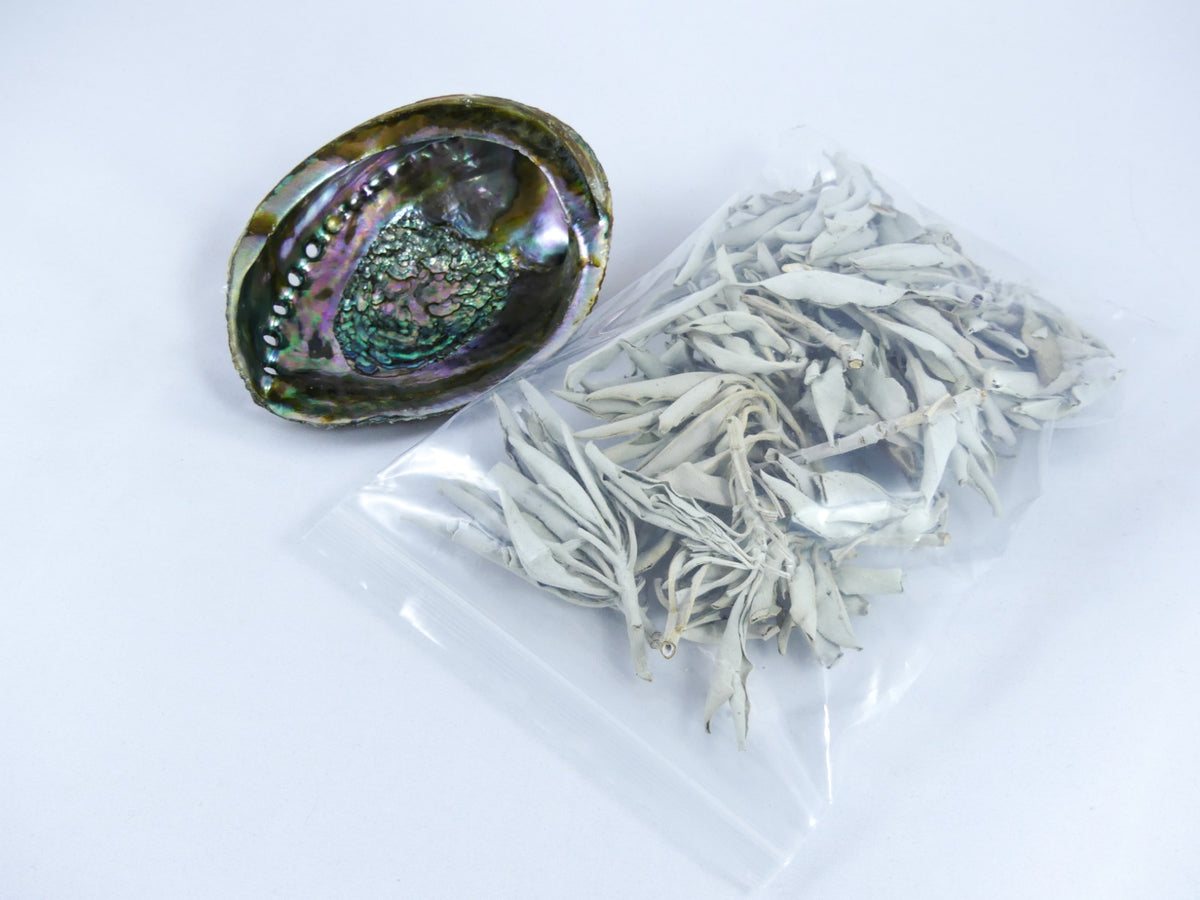 Set Abalone - Abalone Schelp en Zakje Witte Salie
