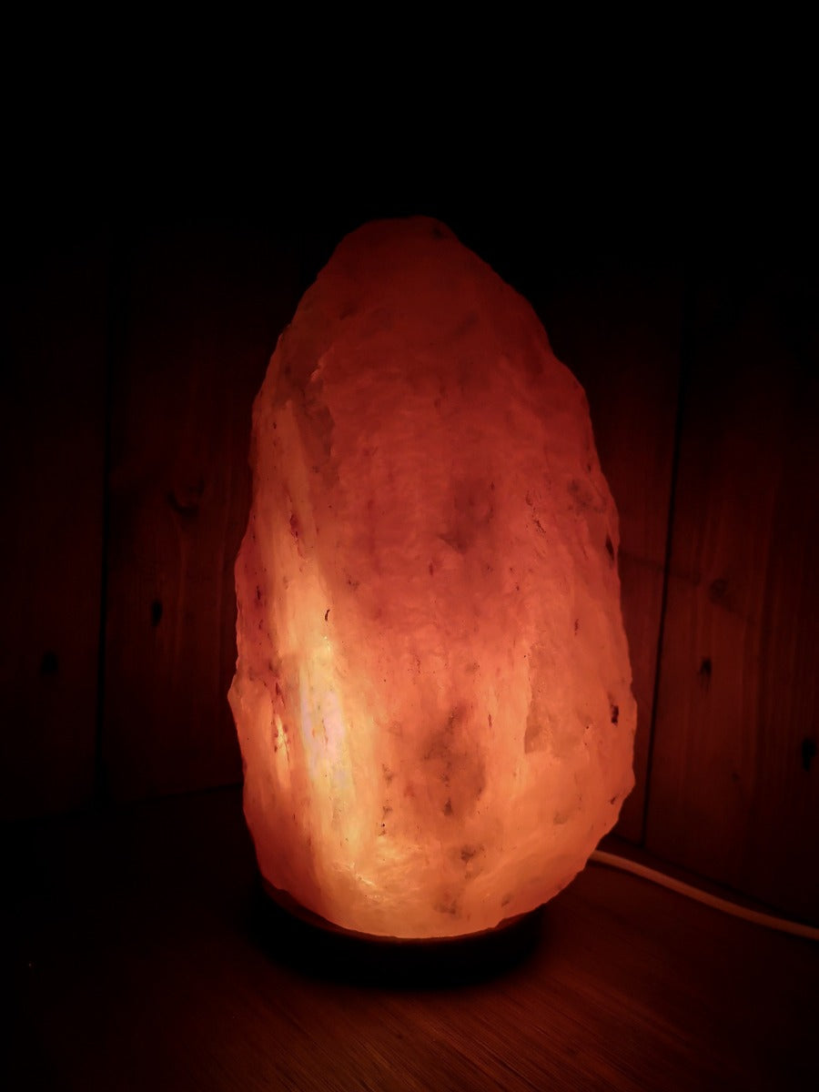 Zoutlamp met DIMMER 10 tot 15kg - Haliet Zoutsteen uit Himalaya - Extra Lange Kabel 1.8mtr - ca. 34x21cm