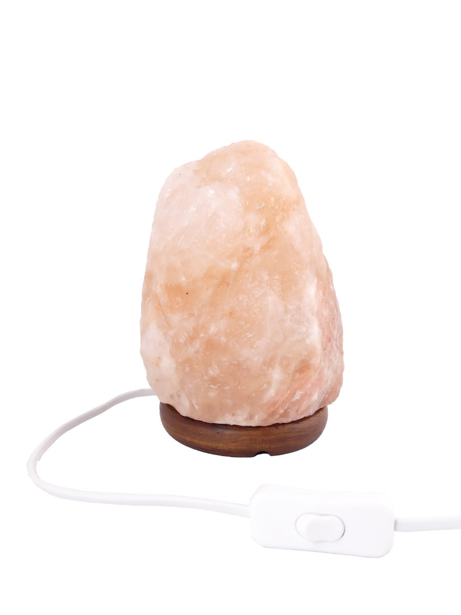 15% Korting! - 4 x Zoutlamp 2 tot 4kg - Himalayazout / Zoutsteen (Haliet) - ca. 22x12cm per stuk